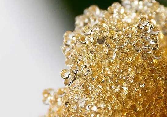تعدادی دانه های رزین بلوری شکل به رنگ طلایی